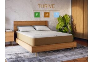 Ethos Latex Combo Firm