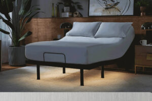 baselogic™ Platinum Adjustable Base