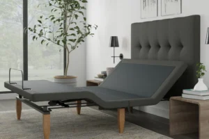 Sam Adjustable Base with Headboard