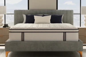 14 Sofinity Hybrid Plus Medium-Soft