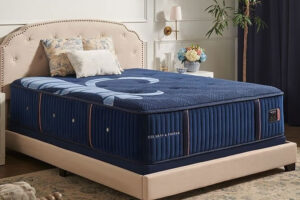 Reserve Collection Medium 16"