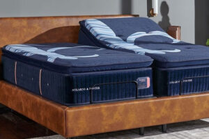 Reserve Collection PillowTop Firm 17"