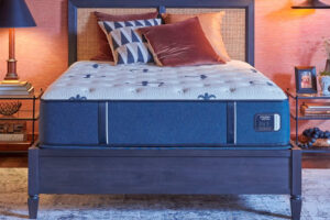 Essential Comfort - The Studio Medium 14"