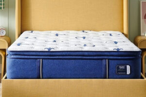 Essential Comfort - The Studio Pillow Top Medium 14.5"